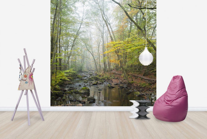 PHOTOWALL / Stream in Swedish Beech Forest I (e40490)