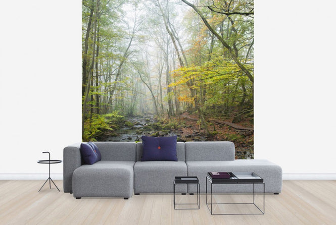 PHOTOWALL / Stream in Swedish Beech Forest I (e40490)