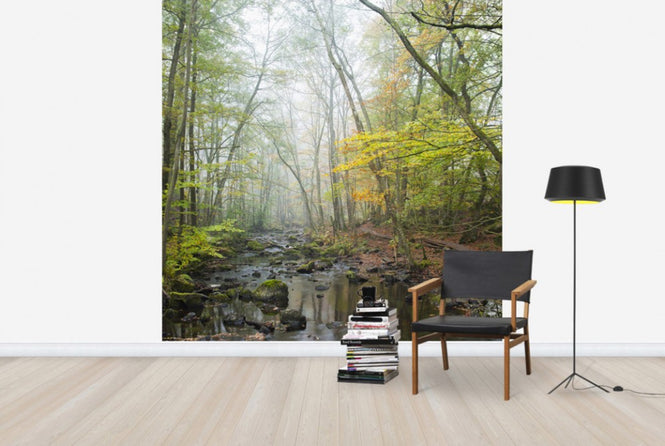 PHOTOWALL / Stream in Swedish Beech Forest I (e40490)