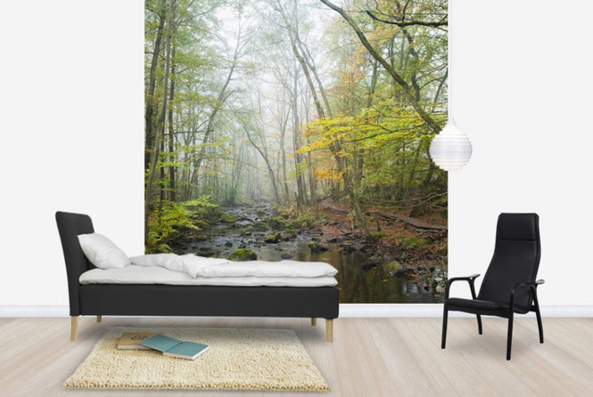 PHOTOWALL / Stream in Swedish Beech Forest I (e40490)