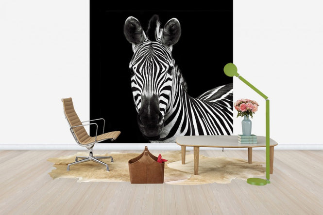 PHOTOWALL / Zebra II Square (e30299)