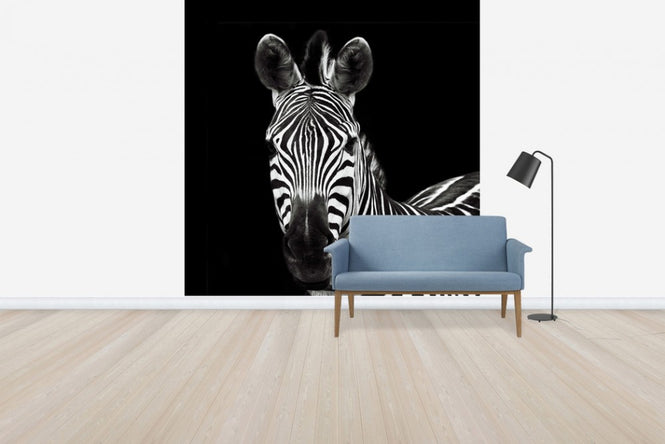 PHOTOWALL / Zebra II Square (e30299)