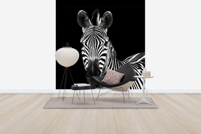 PHOTOWALL / Zebra II Square (e30299)