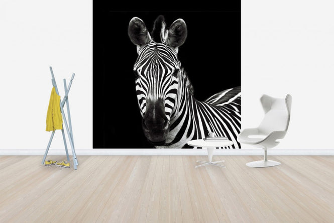 PHOTOWALL / Zebra II Square (e30299)