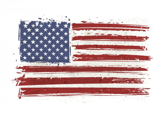 PHOTOWALL / Flag USA (e30302)