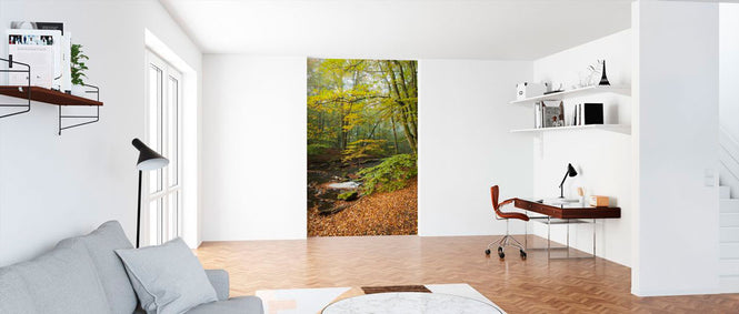 PHOTOWALL / Stream in Swedish Beech Forest II (e40491)