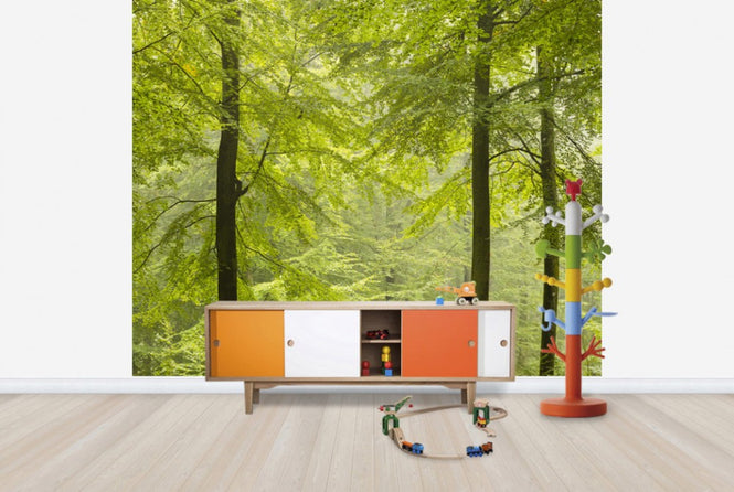 PHOTOWALL / Beech Forest in Torup, Sweden I (e40492)