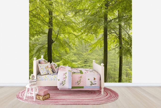 PHOTOWALL / Beech Forest in Torup, Sweden I (e40492)