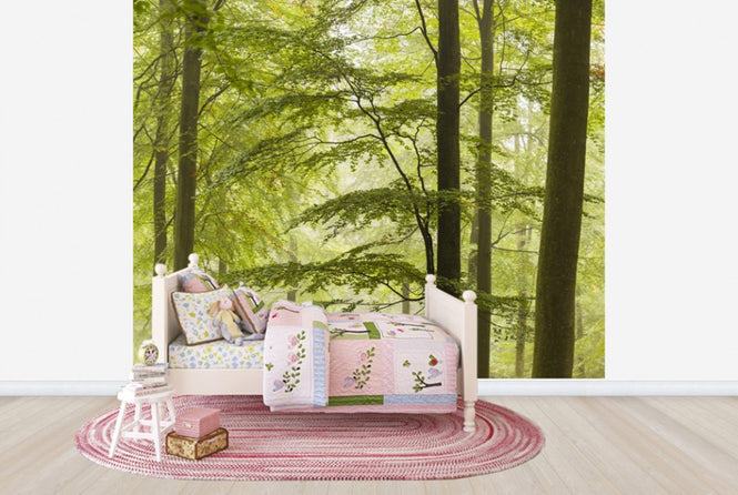 PHOTOWALL / Beech Forest in Torup, Sweden II (e40493)