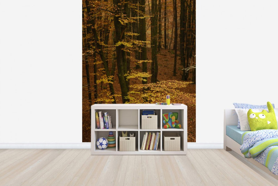 PHOTOWALL / Autumn Forest (e40498)