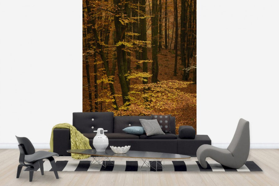 PHOTOWALL / Autumn Forest (e40498)