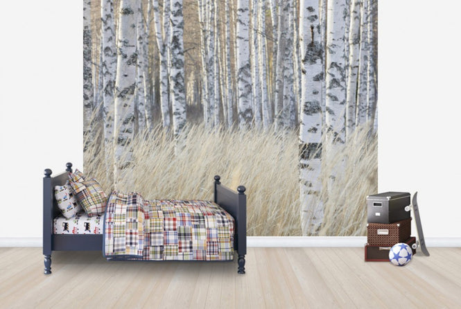 PHOTOWALL / Light Birch Forest (e40500)