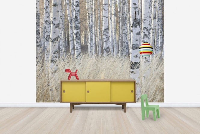 PHOTOWALL / Light Birch Forest (e40500)