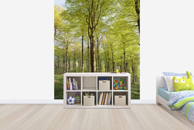 PHOTOWALL / Summer Beech Wood (e40503)