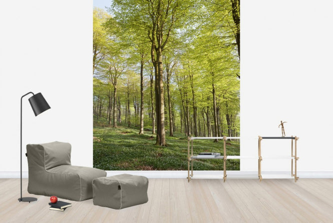 PHOTOWALL / Summer Beech Wood (e40503)