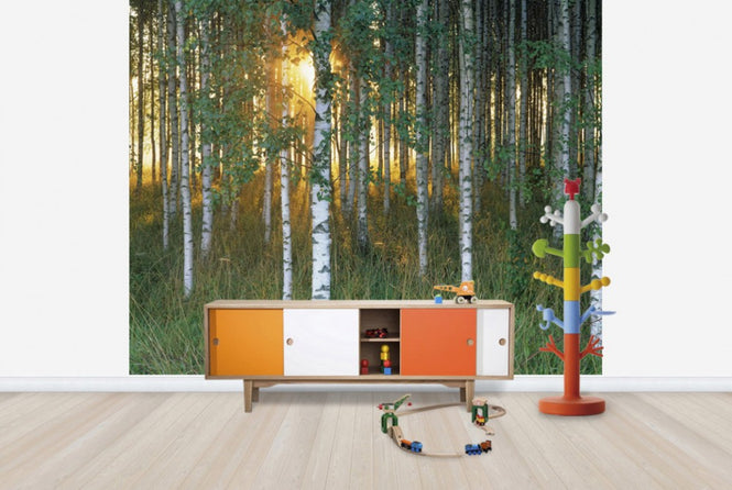 PHOTOWALL / Sunbeam through Birch Forest (e40505)