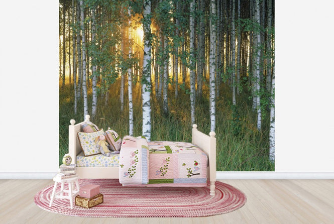 PHOTOWALL / Sunbeam through Birch Forest (e40505)