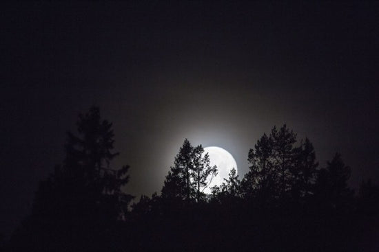 PHOTOWALL / Moonlight over Medelpad, Sweden (e40465)