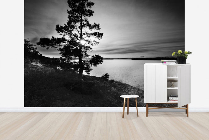 PHOTOWALL / Smadalaro, Sweden (e40468)