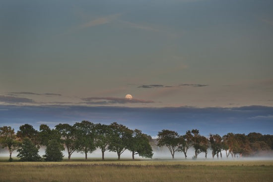 PHOTOWALL / Moon over Swedish Landscape (e40472)