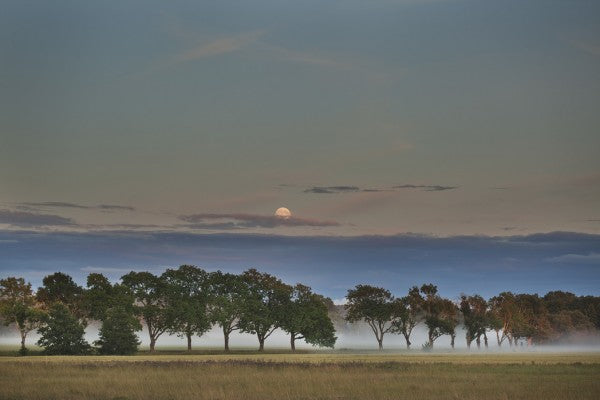 PHOTOWALL / Moon over Swedish Landscape (e40472)