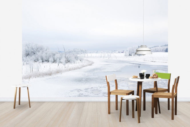PHOTOWALL / Svartan in Winter, Sweden (e40474)