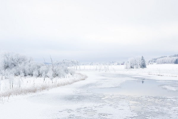 PHOTOWALL / Svartan in Winter, Sweden (e40474)