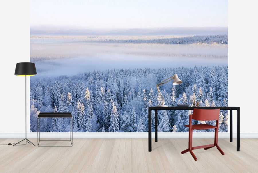PHOTOWALL / Winter in Ostersund, Sweden (e40475)