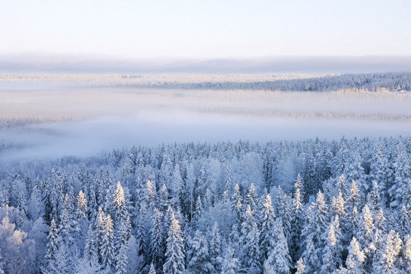 PHOTOWALL / Winter in Ostersund, Sweden (e40475)