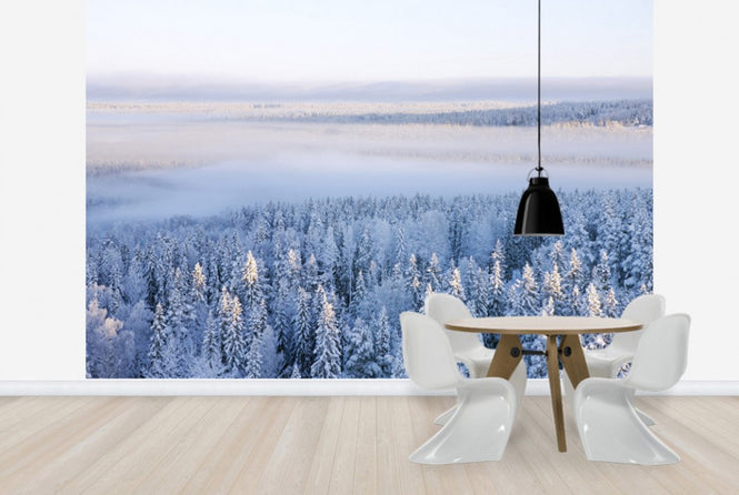 PHOTOWALL / Winter in Ostersund, Sweden (e40475)