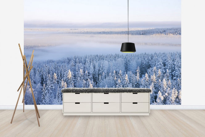 PHOTOWALL / Winter in Ostersund, Sweden (e40475)
