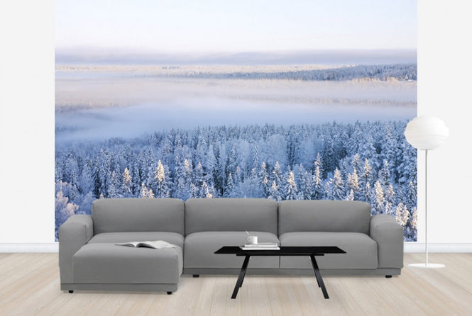PHOTOWALL / Winter in Ostersund, Sweden (e40475)