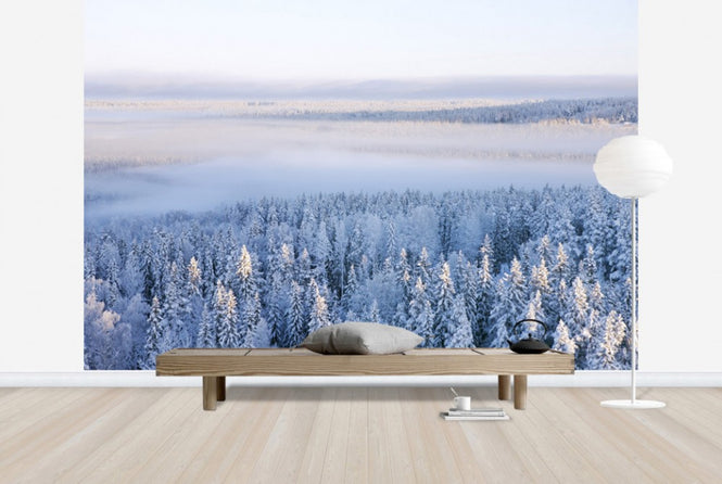 PHOTOWALL / Winter in Ostersund, Sweden (e40475)