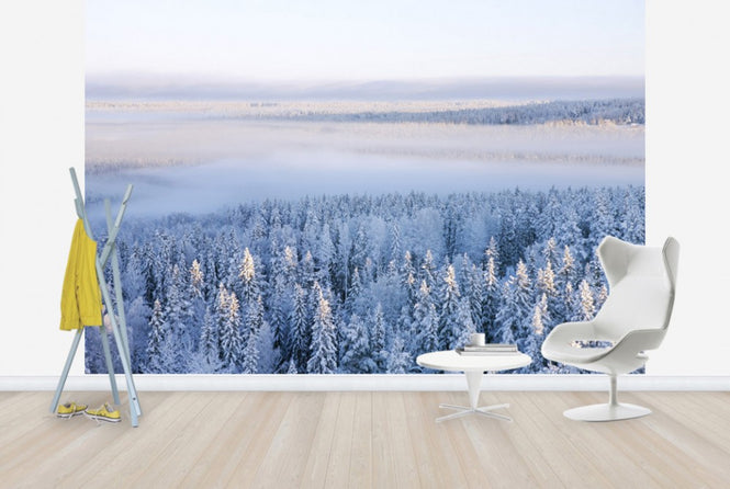 PHOTOWALL / Winter in Ostersund, Sweden (e40475)