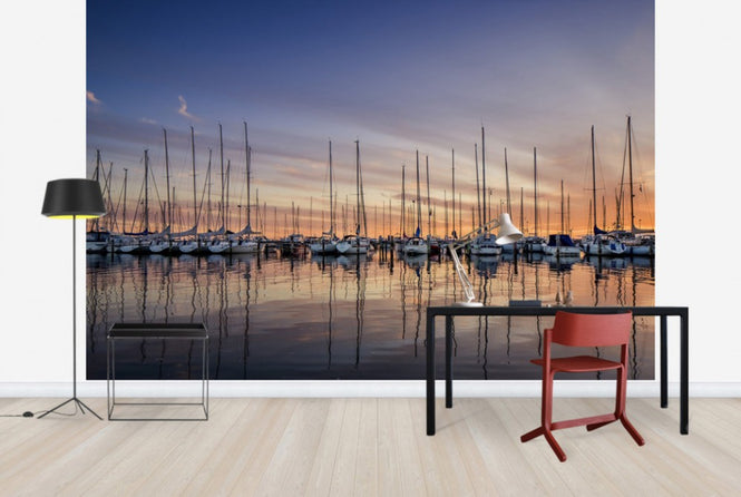 PHOTOWALL / Sailboats in Sunset, Gothenburg Sweden (e40481)