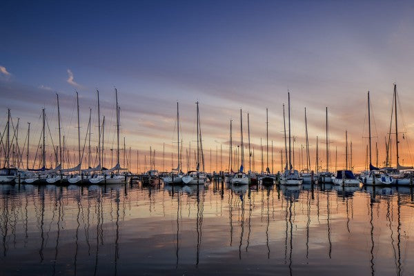 PHOTOWALL / Sailboats in Sunset, Gothenburg Sweden (e40481)