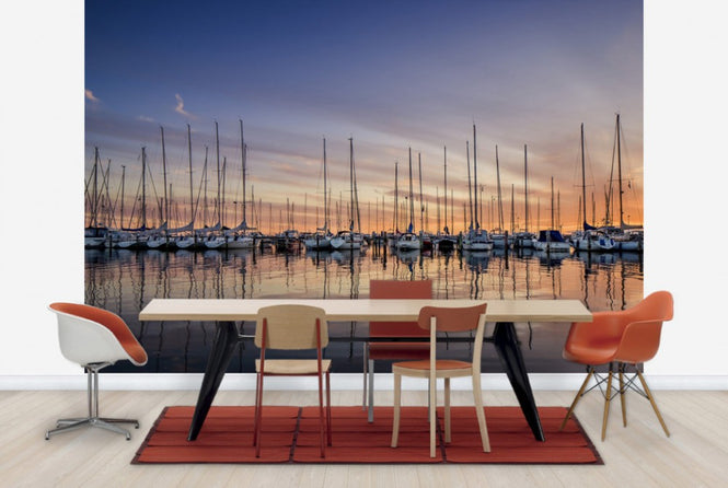 PHOTOWALL / Sailboats in Sunset, Gothenburg Sweden (e40481)