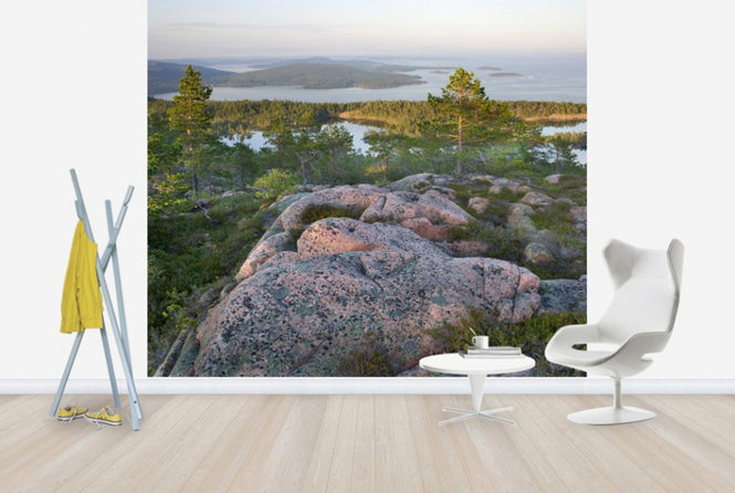 PHOTOWALL / Skuleskogen National Park, Sweden (e40574)