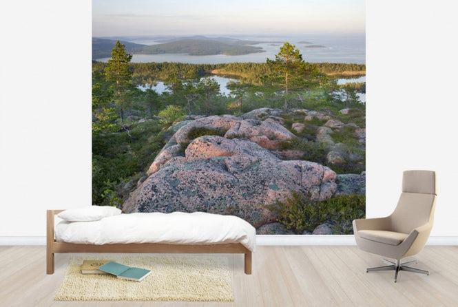 PHOTOWALL / Skuleskogen National Park, Sweden (e40574)