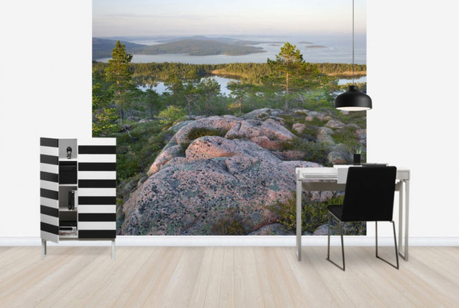 PHOTOWALL / Skuleskogen National Park, Sweden (e40574)