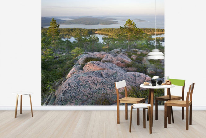 PHOTOWALL / Skuleskogen National Park, Sweden (e40574)