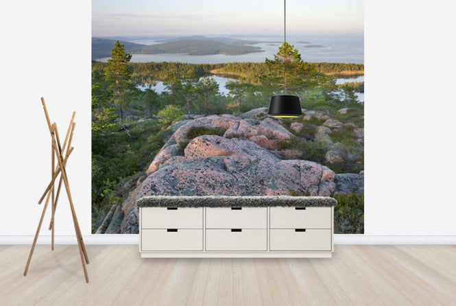 PHOTOWALL / Skuleskogen National Park, Sweden (e40574)