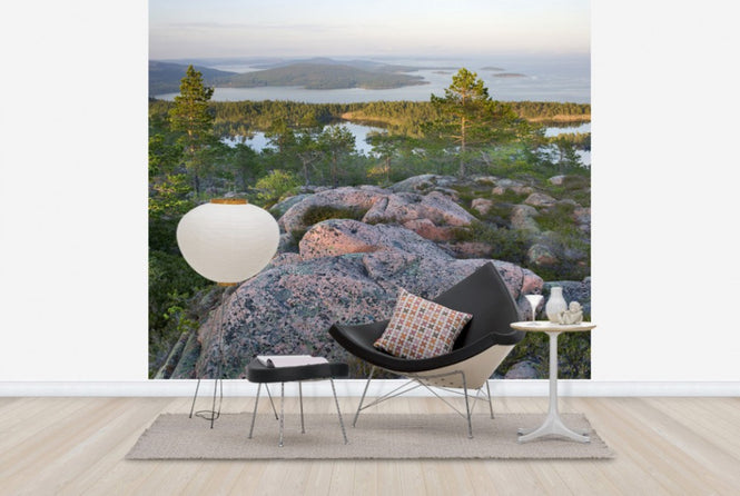 PHOTOWALL / Skuleskogen National Park, Sweden (e40574)