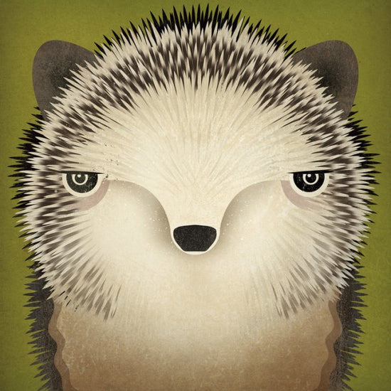 PHOTOWALL / Baby Hedgehog (e30337)
