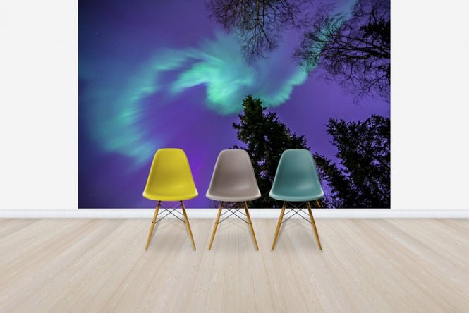 PHOTOWALL / Northern Light - Purple Sky (e40581)