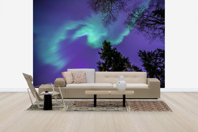 PHOTOWALL / Northern Light - Purple Sky (e40581)