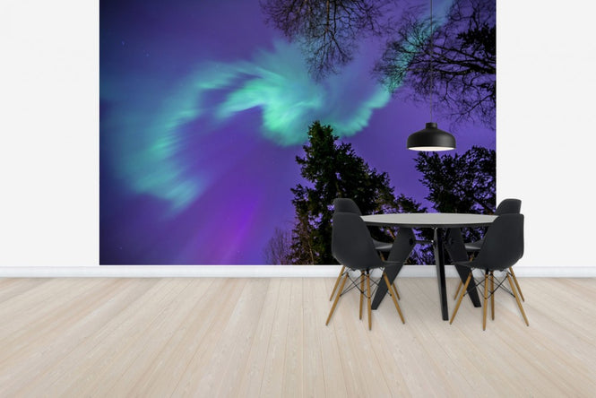 PHOTOWALL / Northern Light - Purple Sky (e40581)