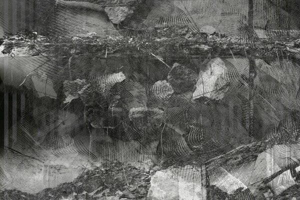 PHOTOWALL / Orchid Demolition Chaos Grey (e40010)