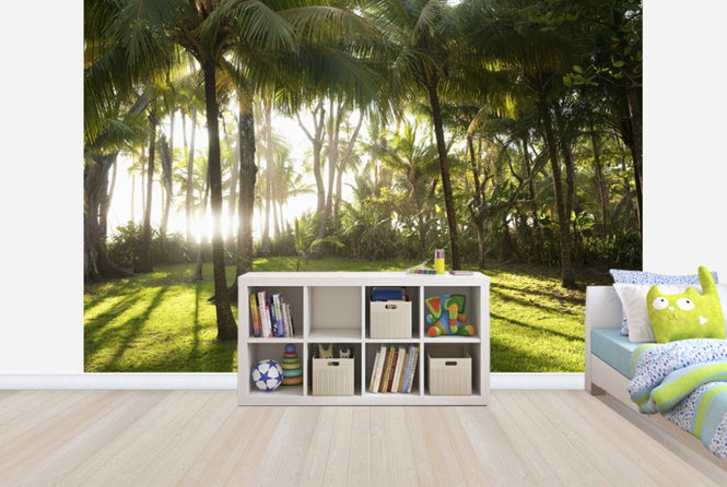 PHOTOWALL / Hammock in Santa Teresa, Costa Rica (e40644)