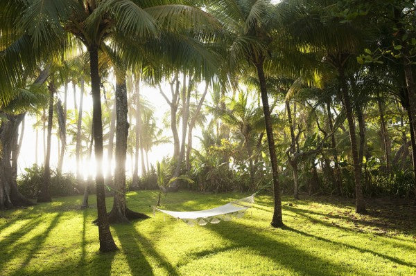 PHOTOWALL / Hammock in Santa Teresa, Costa Rica (e40644)